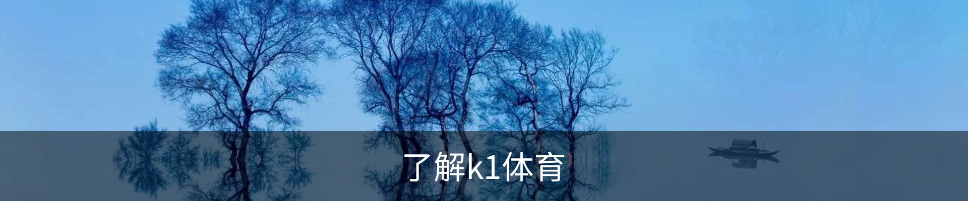 了解k1体育
